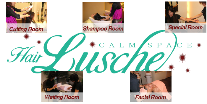 hairlusche店内のご案内